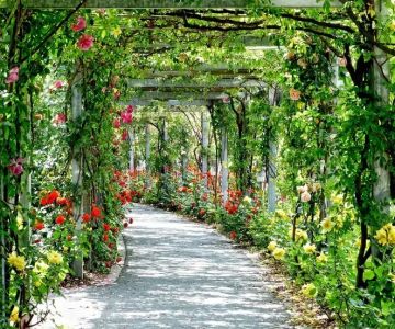 How to Design for Sustainability Without Sacrificing Beauty