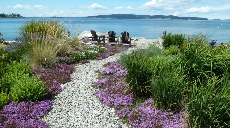 How to Design for Low Maintenance in Coastal Climates