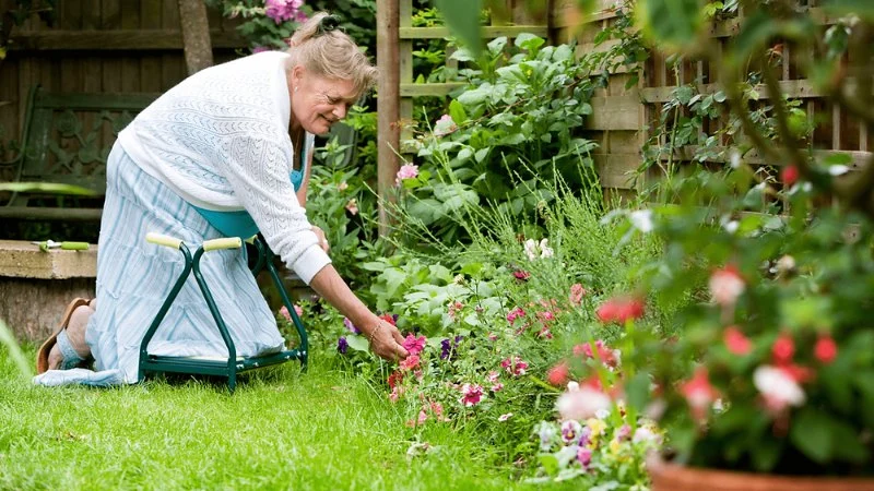 How to Maintain Garden Beds Without Back Pain