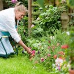 How to Maintain Garden Beds Without Back Pain