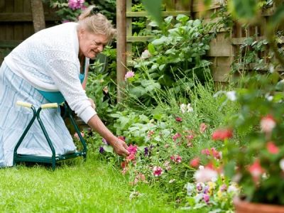 How to Maintain Garden Beds Without Back Pain