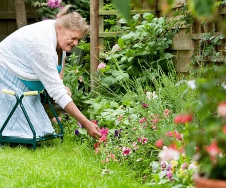 How to Maintain Garden Beds Without Back Pain