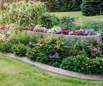 How to Create a Landscape That’s Easy to Clean and Maintain