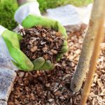 The Science Behind Mulch: What, Why & How Much