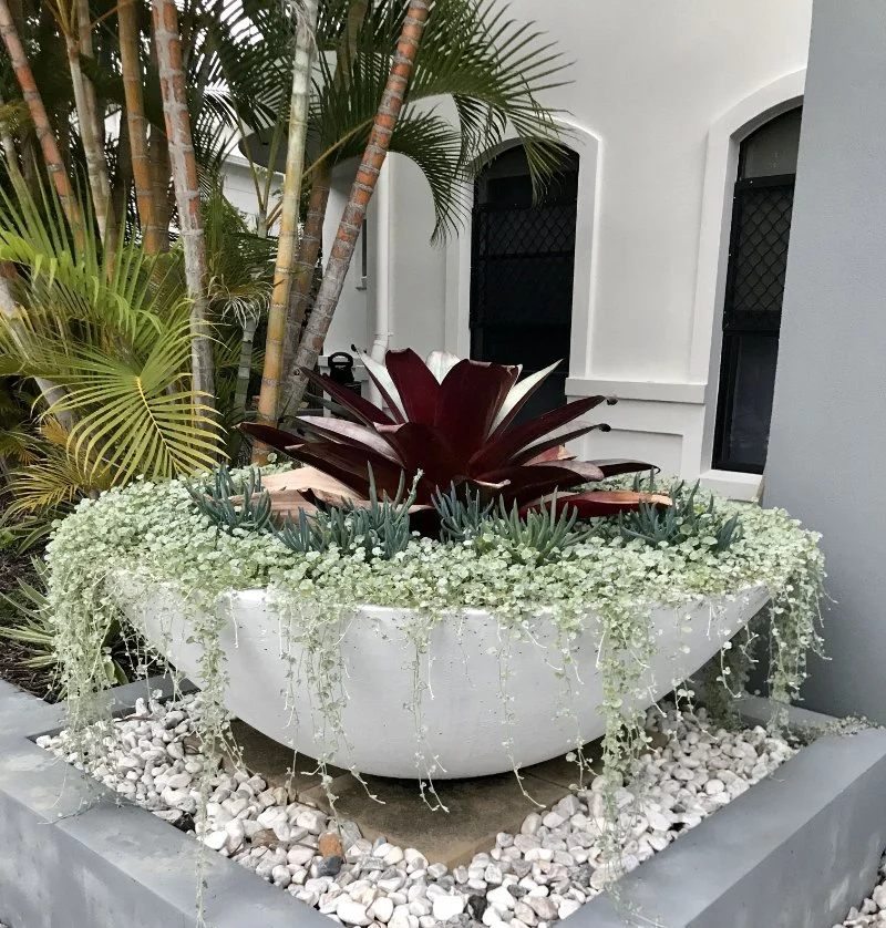 How to Landscape With Large Pots and Statement Planters