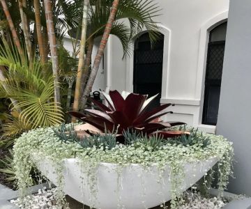 How to Landscape With Large Pots and Statement Planters