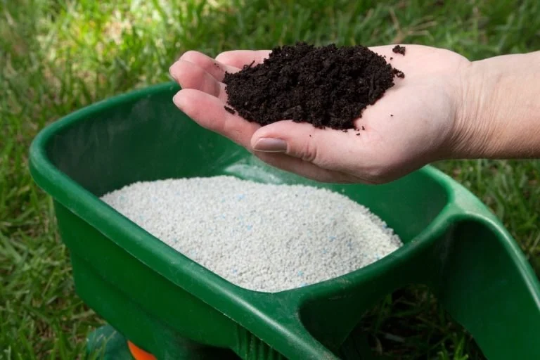 How Often Should You Fertilize Your Lawn?