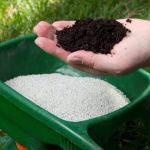 How Often Should You Fertilize Your Lawn?