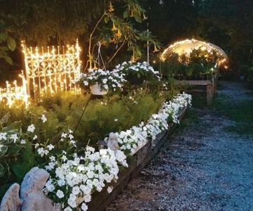 How to Create a Nighttime Garden Experience