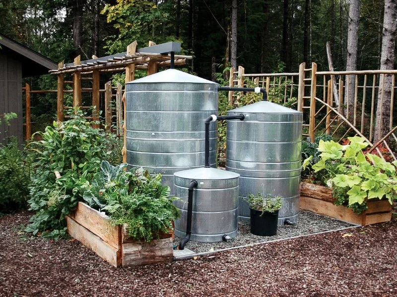 How to Build a Rainwater Storage System for Gardens