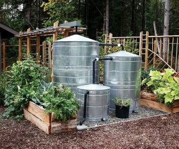 How to Build a Rainwater Storage System for Gardens