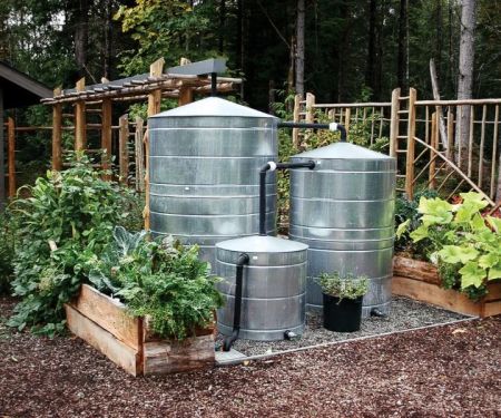 How to Build a Rainwater Storage System for Gardens
