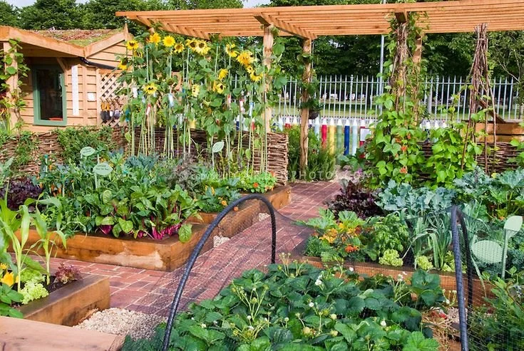 How to Plant a Vegetable Garden That Looks Beautiful