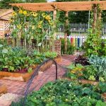 How to Plant a Vegetable Garden That Looks Beautiful