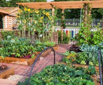 How to Plant a Vegetable Garden That Looks Beautiful