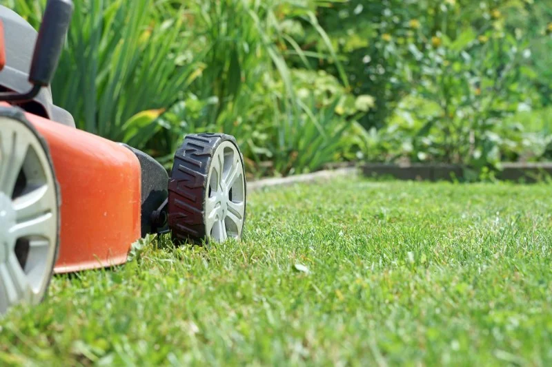 Lazy Lawn Care: How to Maintain Grass with Minimal Effort