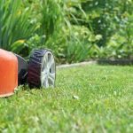 Lazy Lawn Care: How to Maintain Grass with Minimal Effort