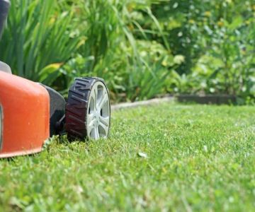 Lazy Lawn Care: How to Maintain Grass with Minimal Effort