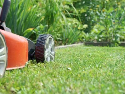 Lazy Lawn Care: How to Maintain Grass with Minimal Effort