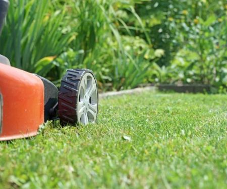 Lazy Lawn Care: How to Maintain Grass with Minimal Effort