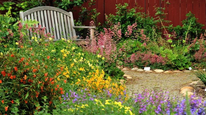 How to Design an Entryway With Native and Pollinator Plants