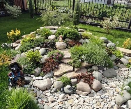 How to Start a Rockscape: From Planning to Planting