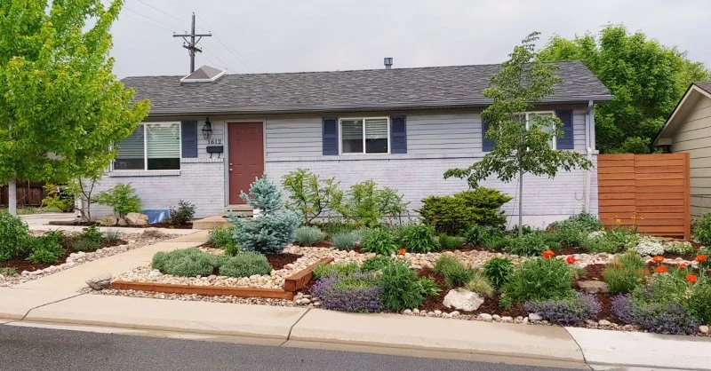 How to Plan for Emergency Drought in Landscaping