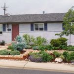 How to Plan for Emergency Drought in Landscaping