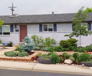 How to Plan for Emergency Drought in Landscaping