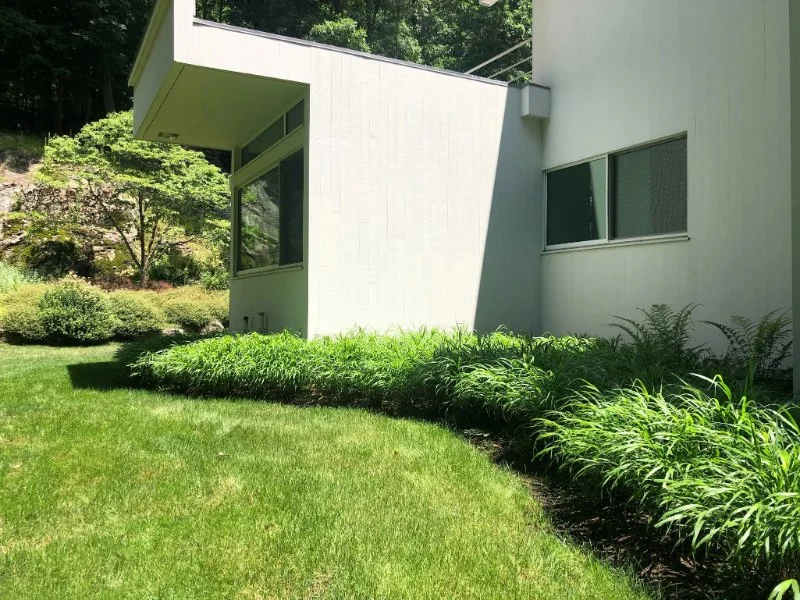 How to Add Drama With Tall Grasses and Sculptural Plants