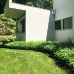 How to Add Drama With Tall Grasses and Sculptural Plants