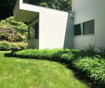 How to Add Drama With Tall Grasses and Sculptural Plants