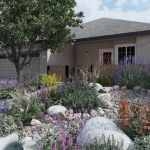 How to Create a Front Yard That Requires No Mowing