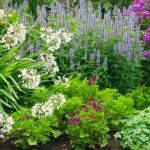 How to Use Perennials to Create a Low Maintenance Garden