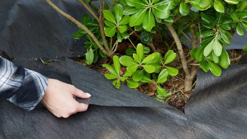 How to Choose Landscape Fabric: When to Use & When Not