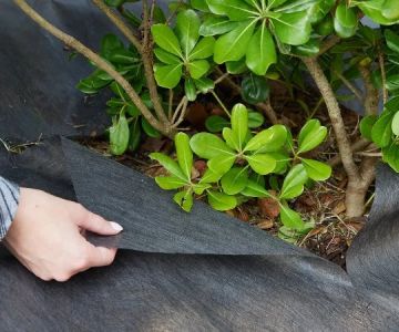 How to Choose Landscape Fabric: When to Use & When Not