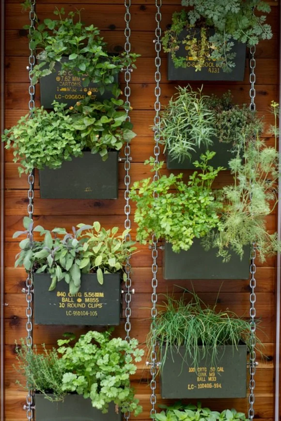 How to Build a Vertical Herb Wall for Cooking Convenience