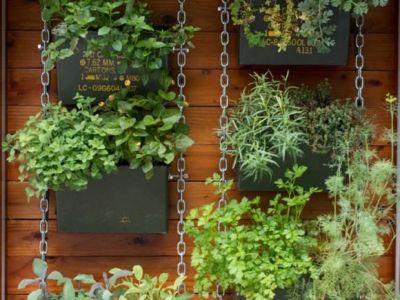 How to Build a Vertical Herb Wall for Cooking Convenience