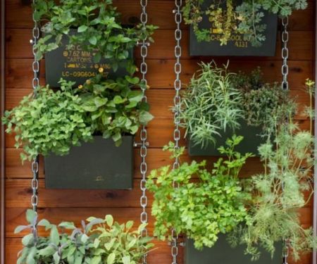 How to Build a Vertical Herb Wall for Cooking Convenience