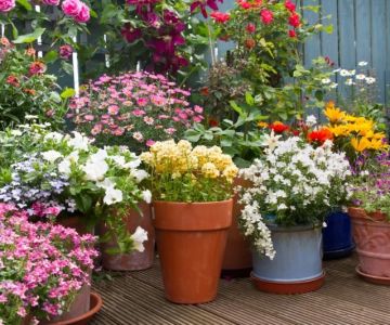 How to Use Container Planting in Small Spaces