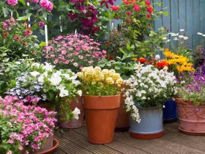 How to Use Container Planting in Small Spaces