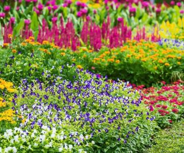 Best Perennials That Come Back Strong Every Year