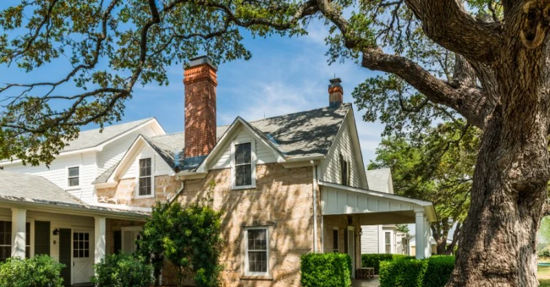 How to Use Native Trees to Boost Property Value