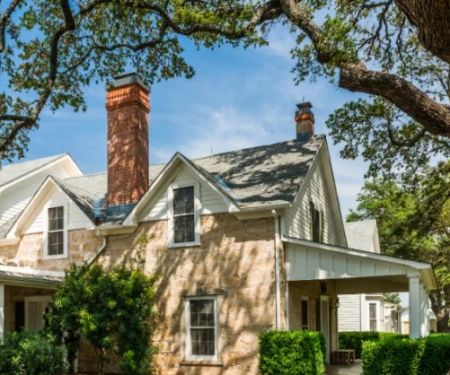 How to Use Native Trees to Boost Property Value