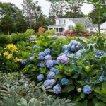 Top 10 Low-Maintenance Plants for American Yards | Beautiful Landscapes