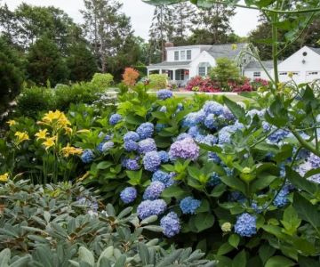 Top 10 Low-Maintenance Plants for American Yards | Beautiful Landscapes
