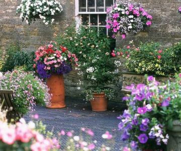 How to Landscape With Container Gardens Year-Round