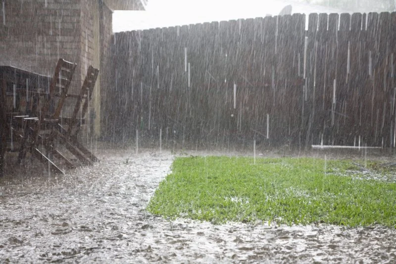 How to Landscape for Rainy & Wet Conditions