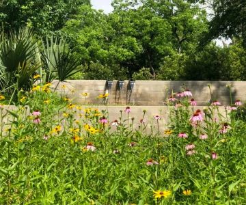 How to Build a Garden That Works With Local Climate