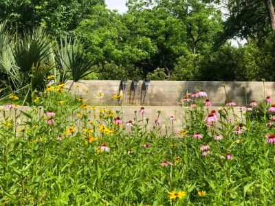 How to Build a Garden That Works With Local Climate